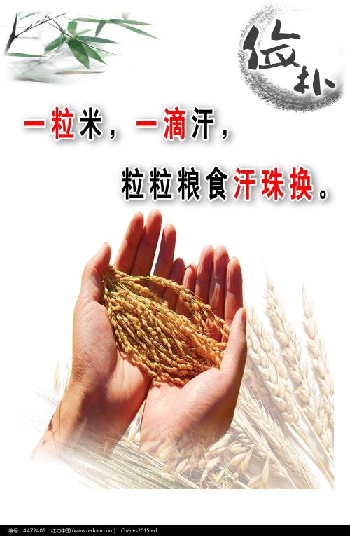 没有学位证影响报道吗
